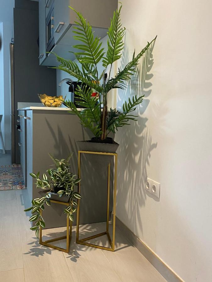 Apartment Apto Moderno, A Minutos De La Playa Y Del Centro Tarifa